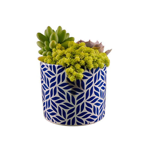 Blue Tile Round & Square 6 pack