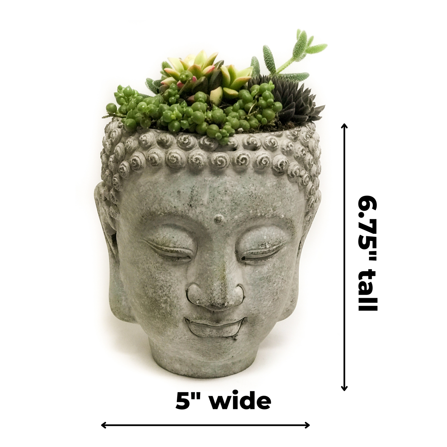 Buddha Head