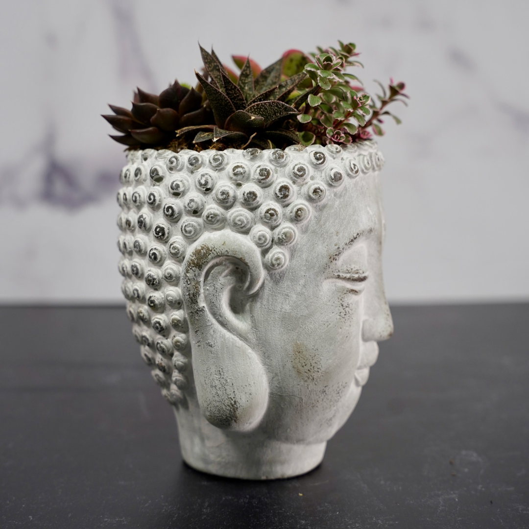 Buddha Head