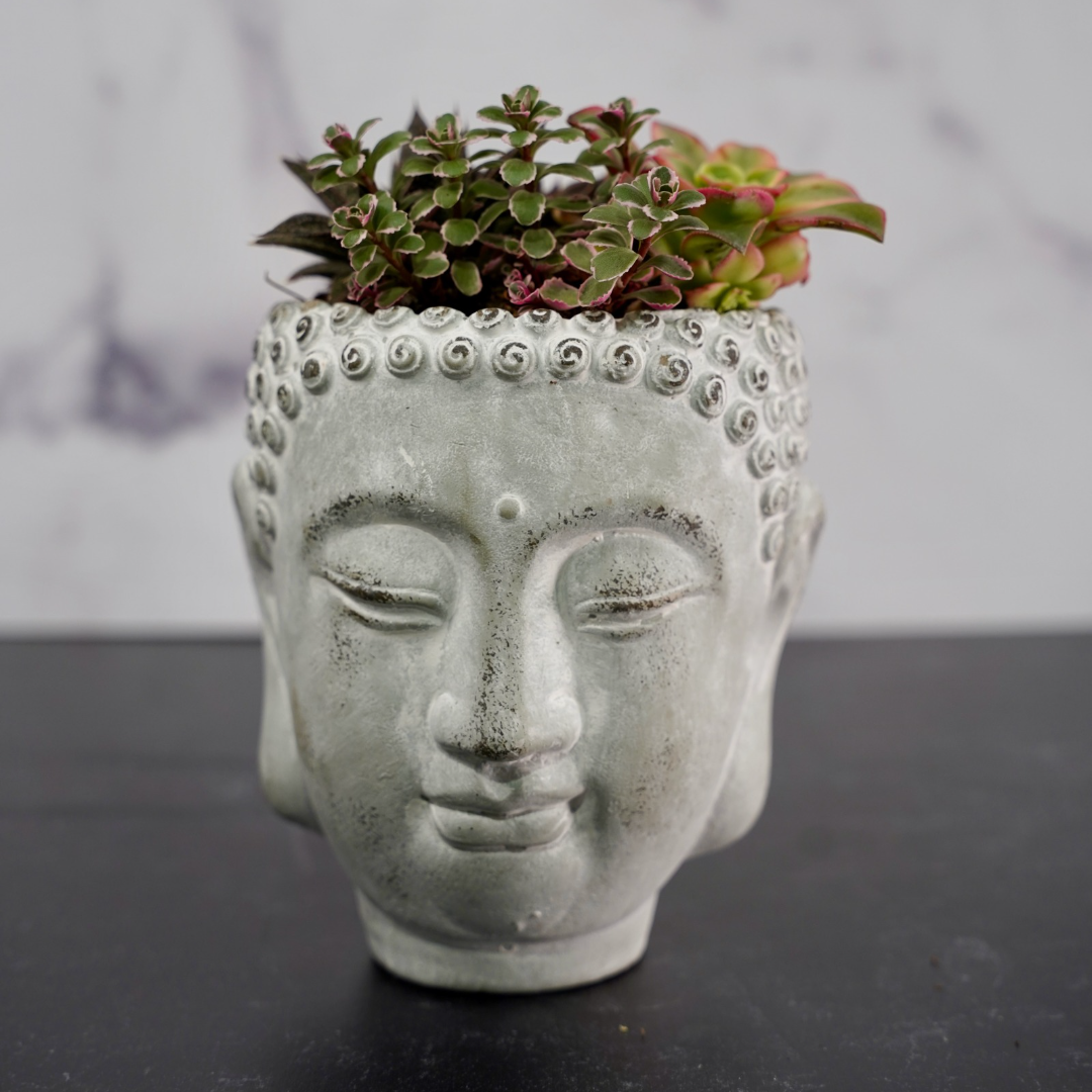 Buddha Head