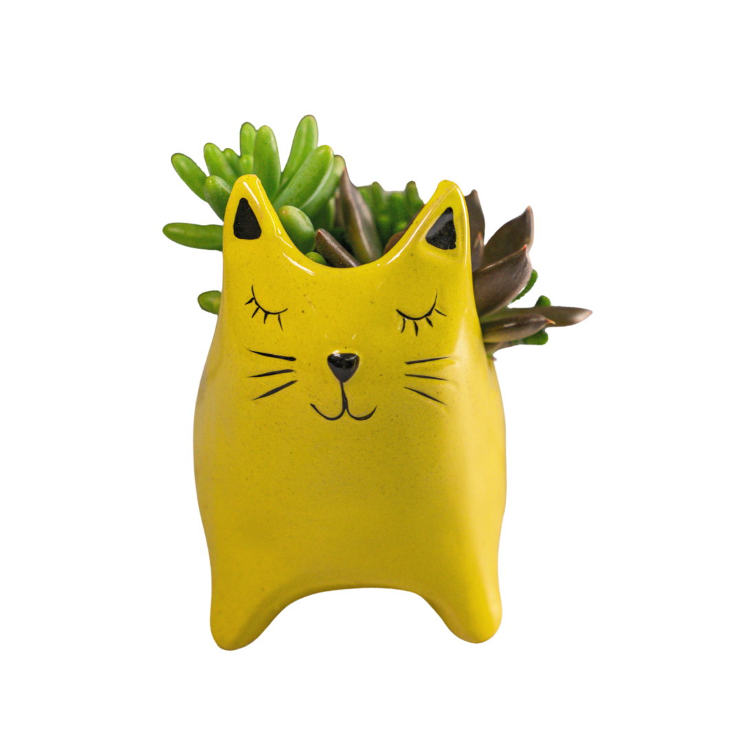 Ceramic Cat