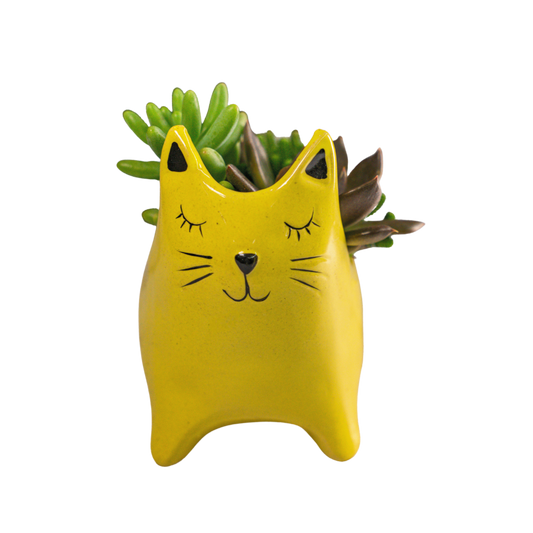 Ceramic Cat
