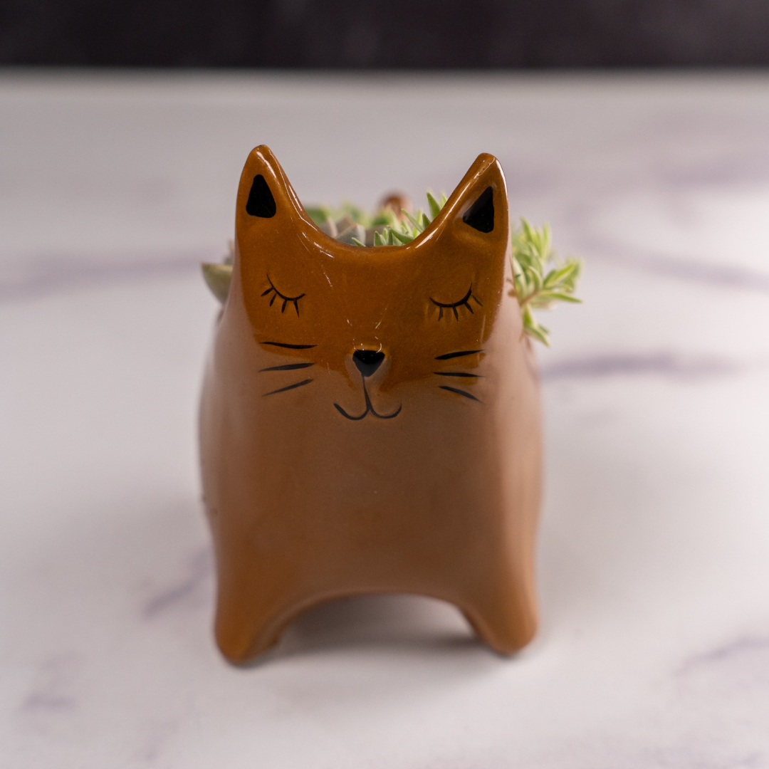 Ceramic Cat