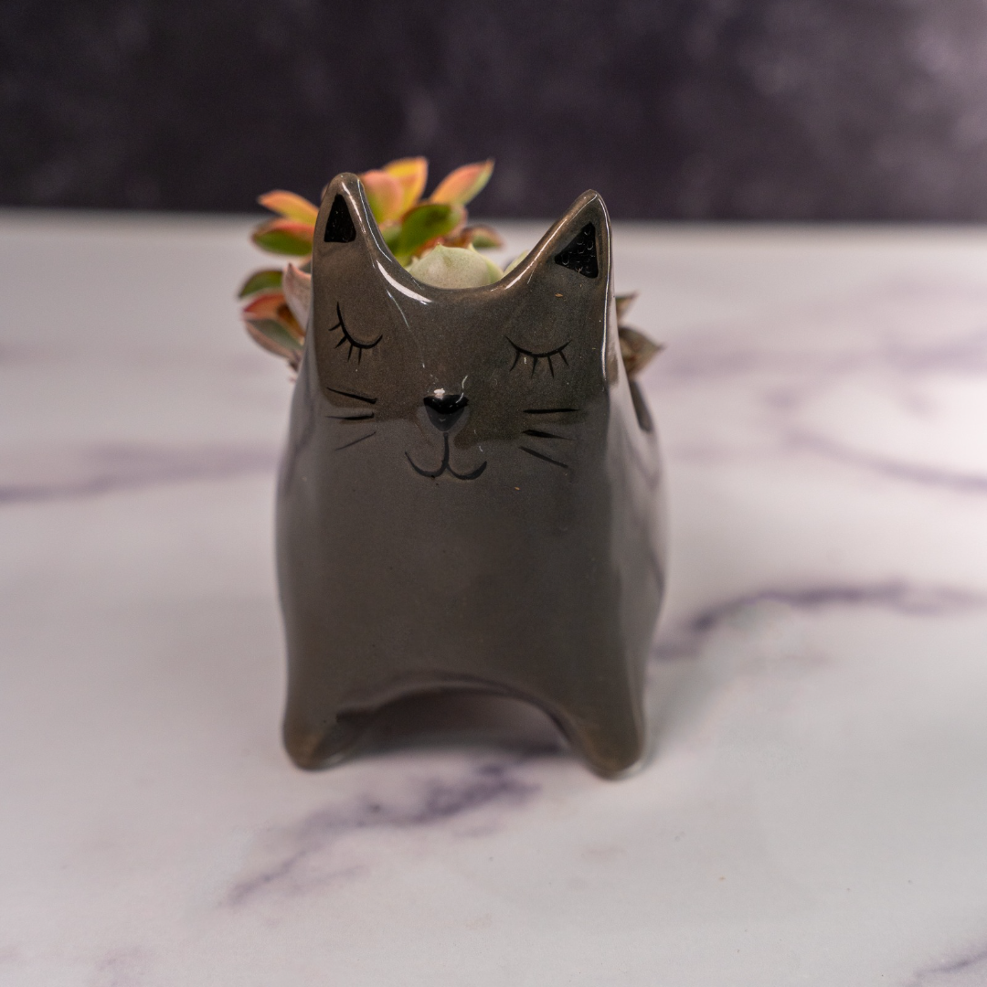 Ceramic Cat