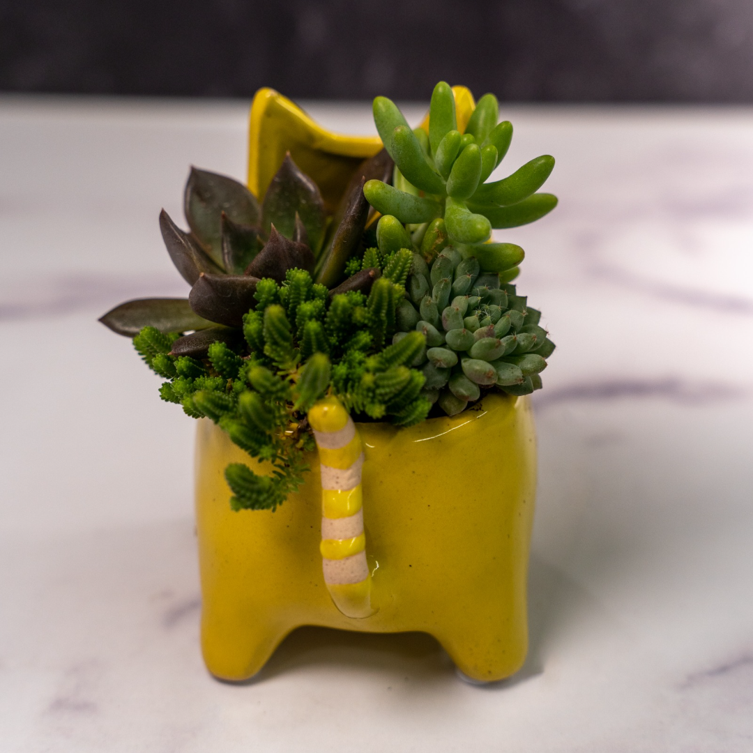 Ceramic Cat