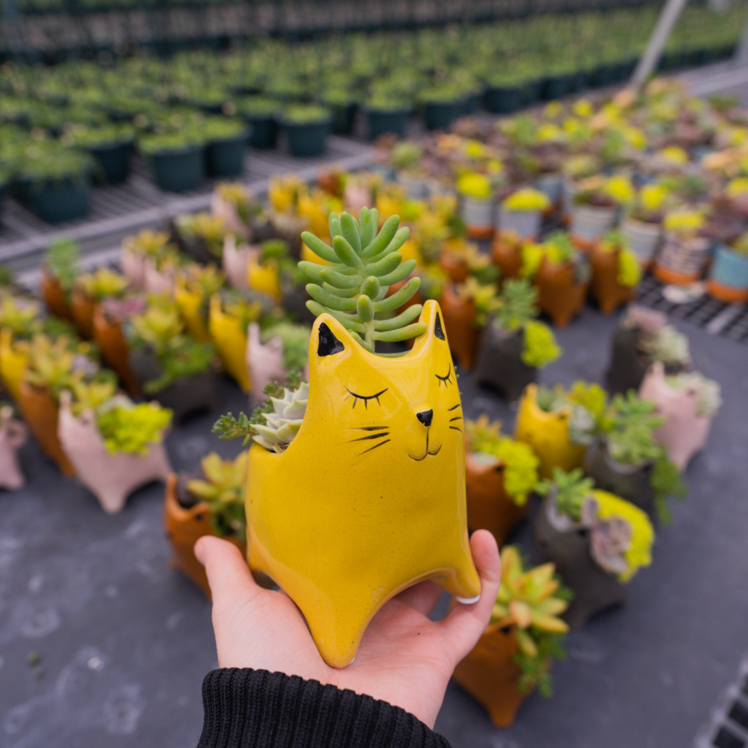 Ceramic Cat