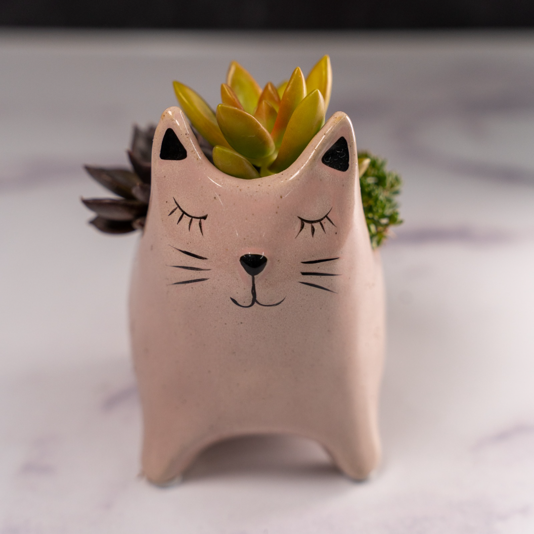 Ceramic Cat