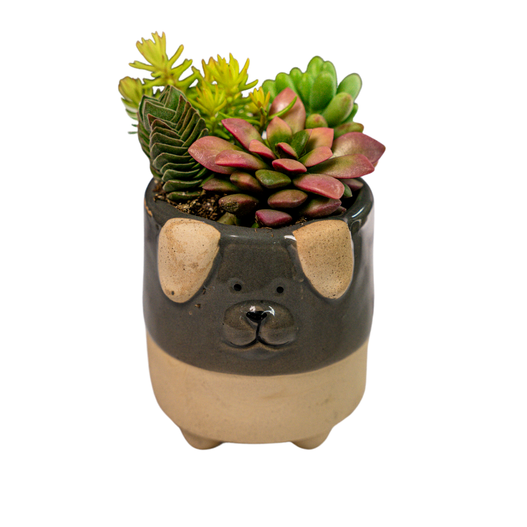 Ceramic Dog