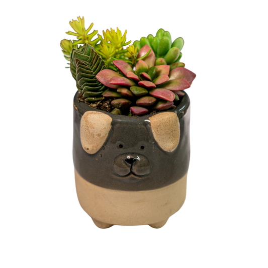 Ceramic Dog