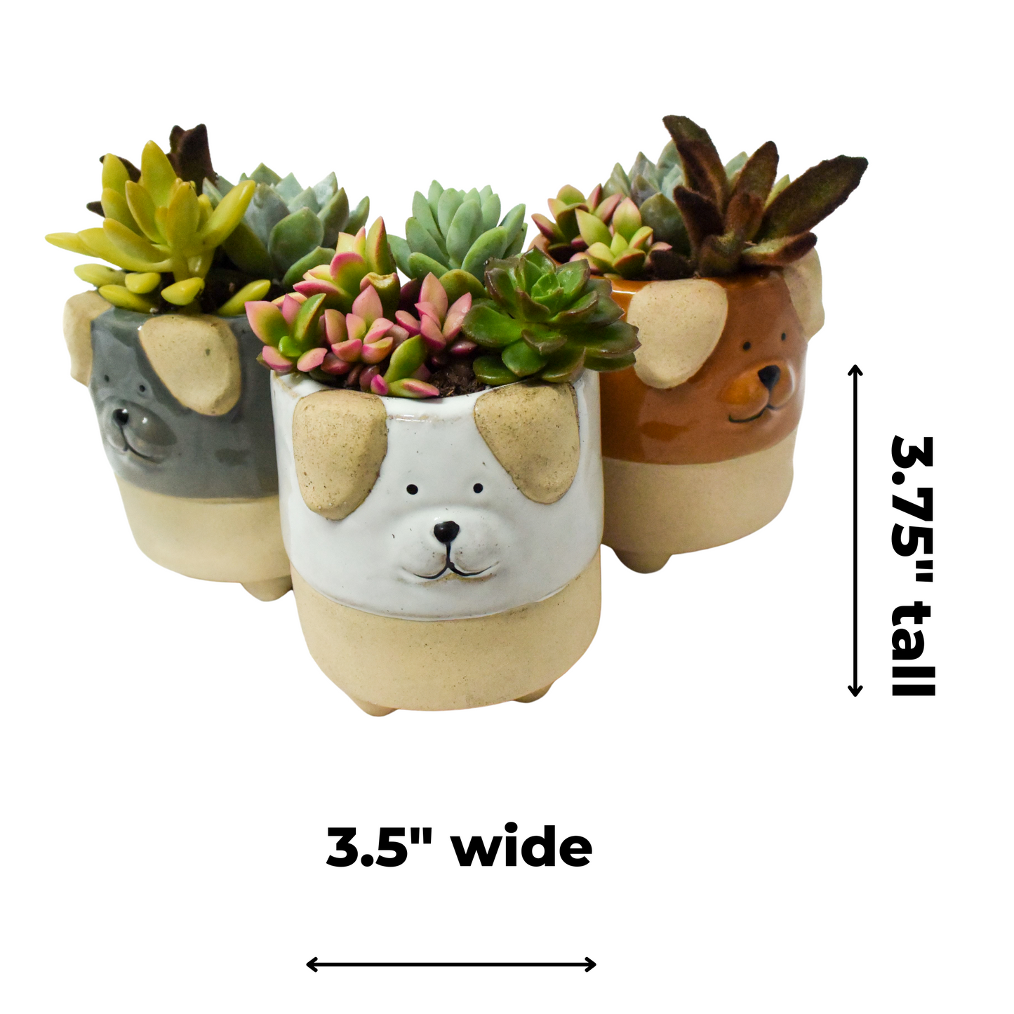 Ceramic Dog