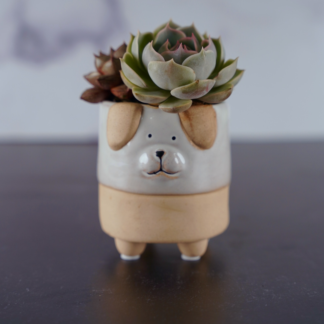 Ceramic Dog