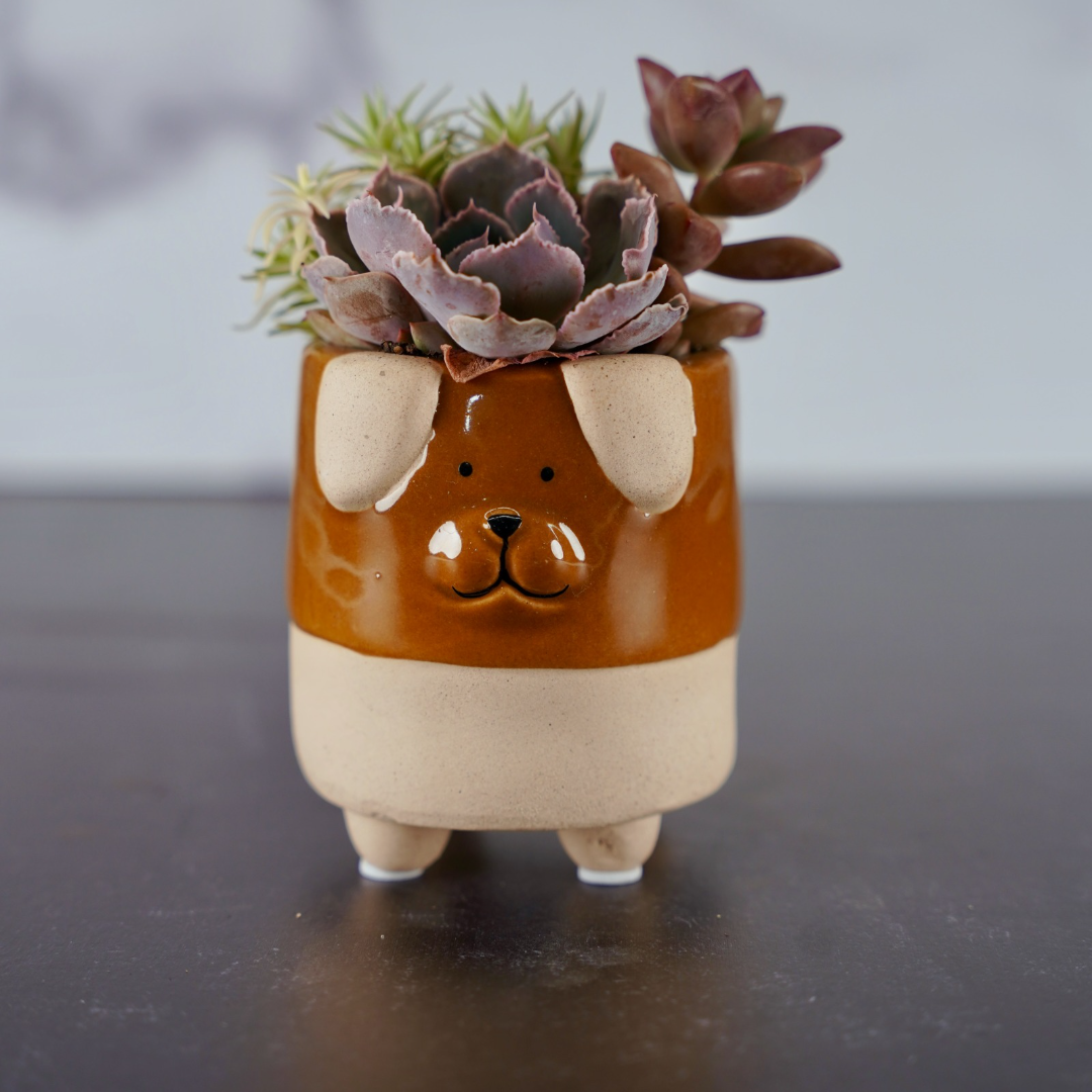 Ceramic Dog