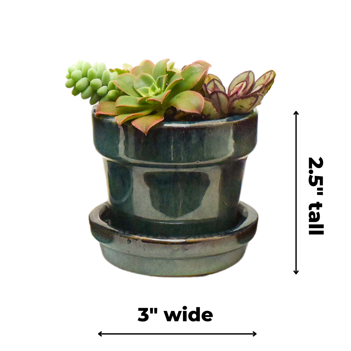 Floral Pot 3-inch, 3-pack