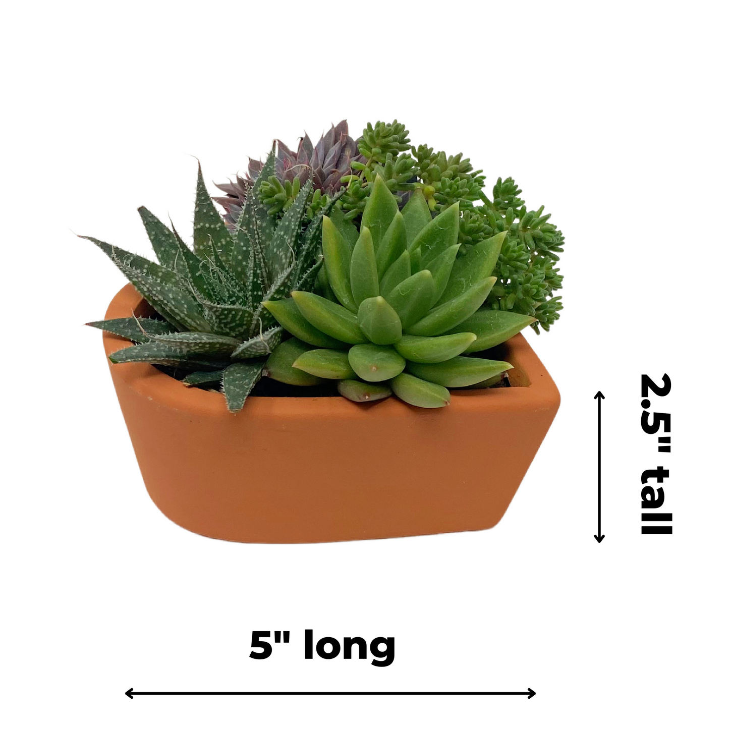 Heart Planter