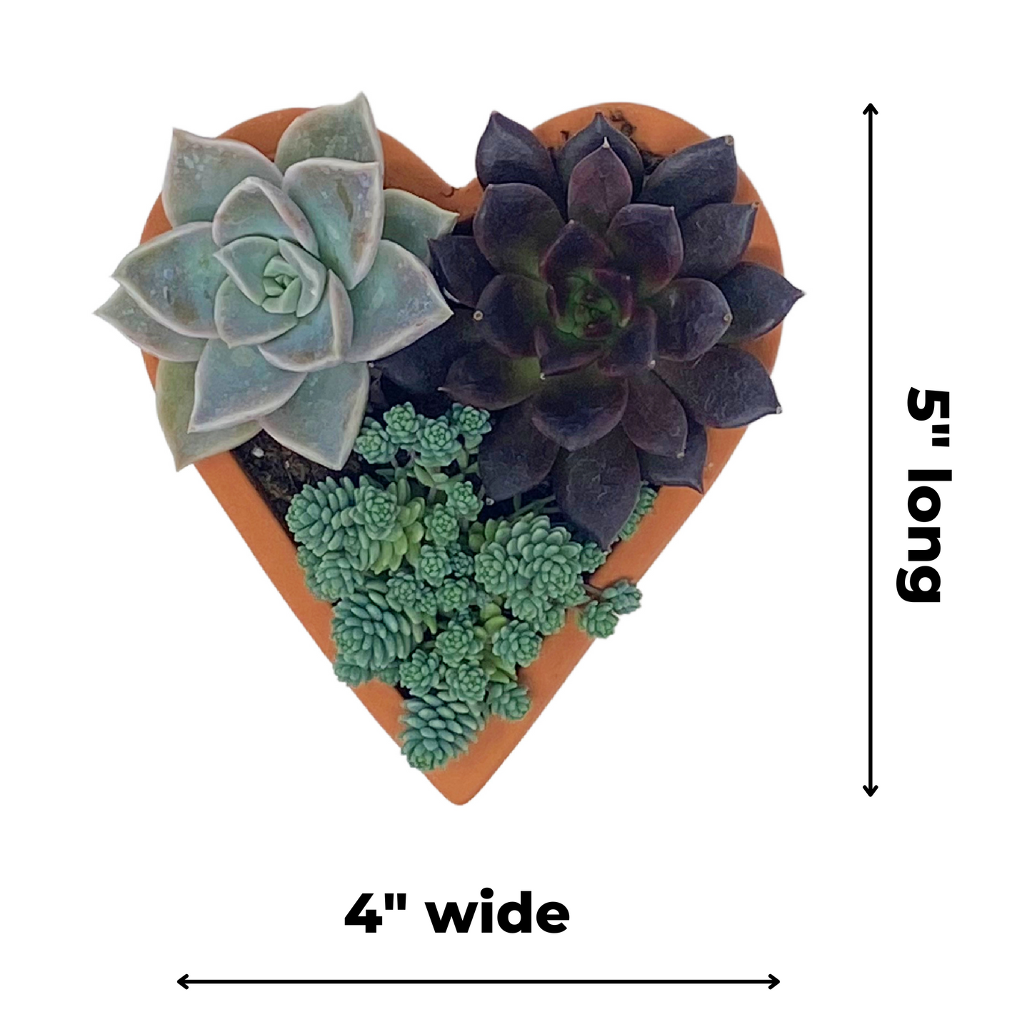 Heart Planter