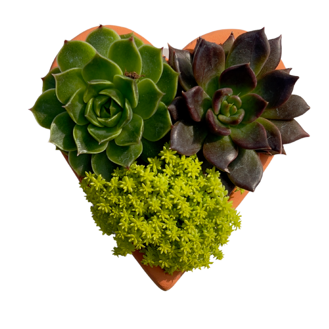 Heart Planter