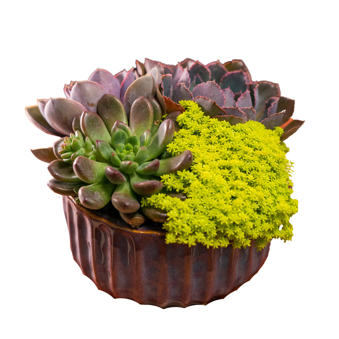 Ribbed Bowl Glazed 7"