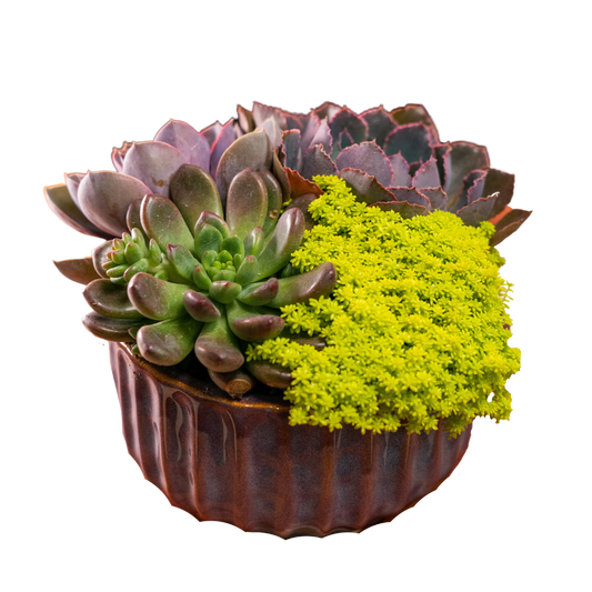 Ribbed Bowl Glazed 7"