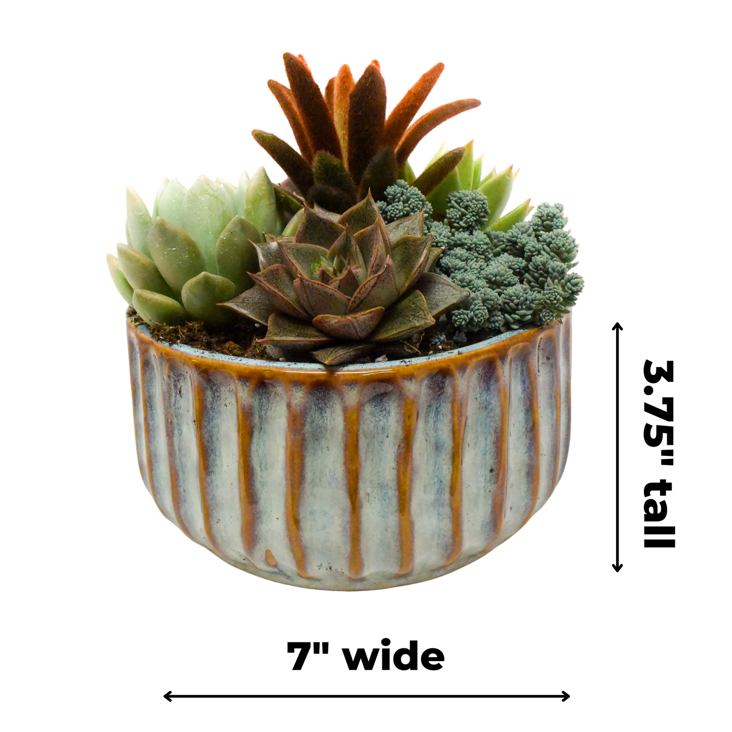Ribbed Bowl Glazed 7"