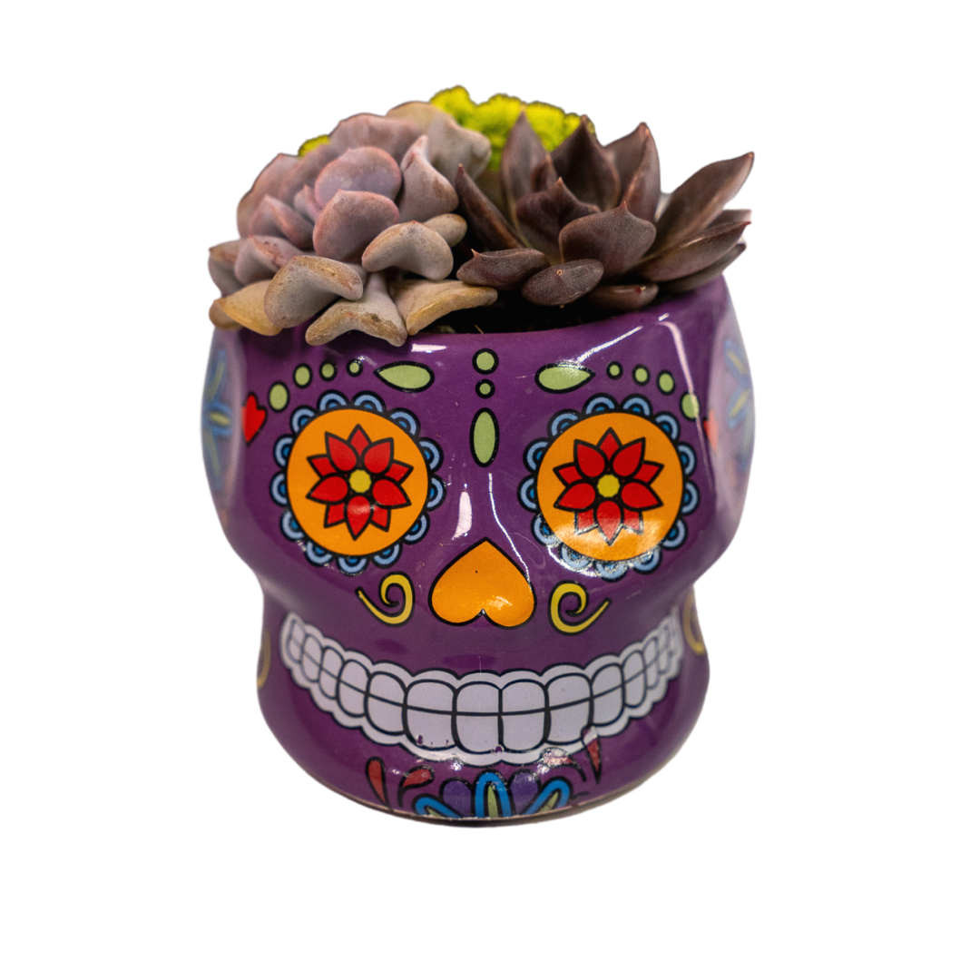 day of the dead plant pots Skull Planters – plantedbypopes