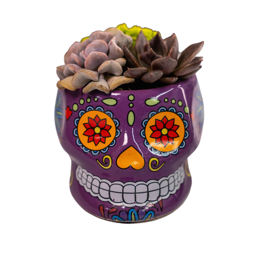 Skull Planters