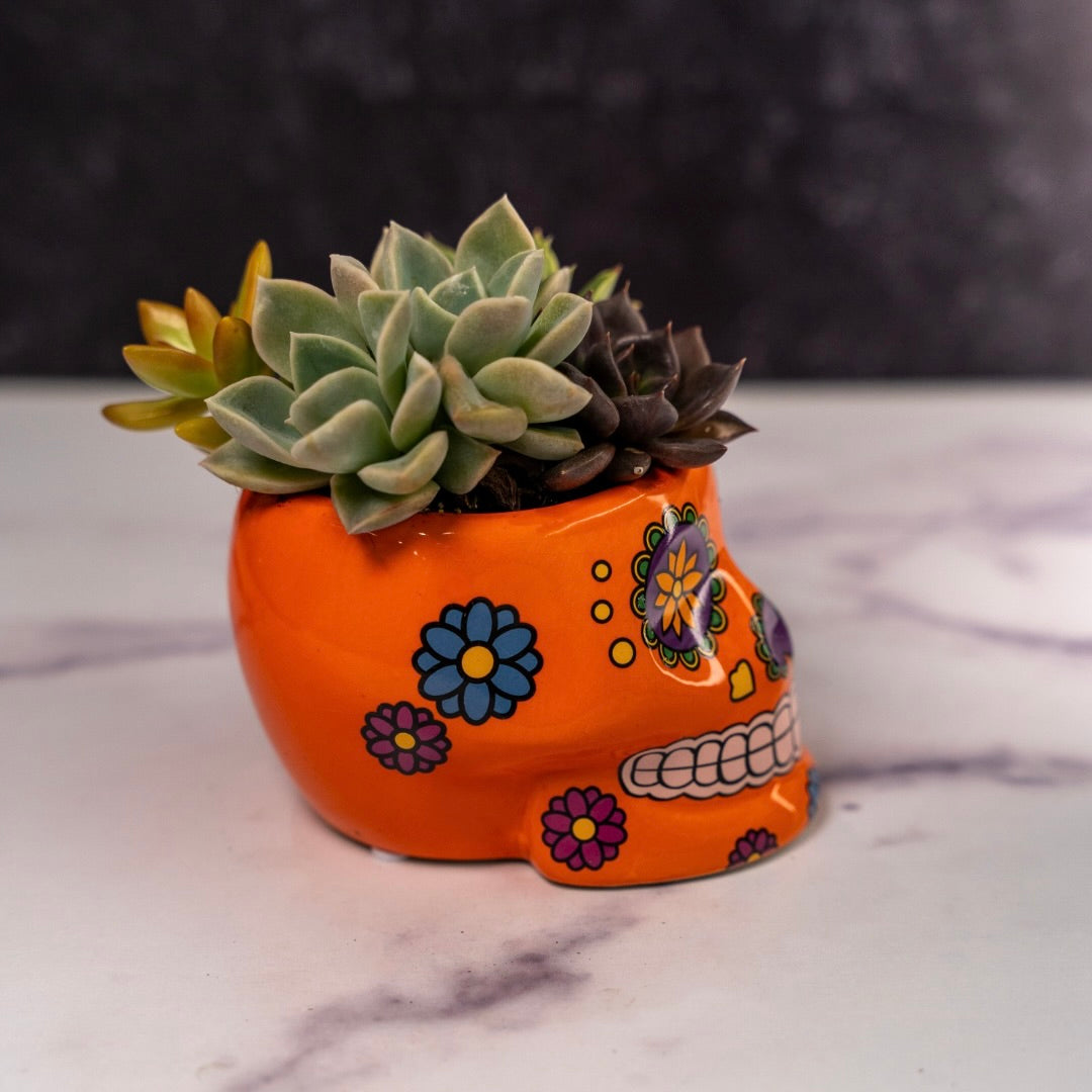 Skull Planters