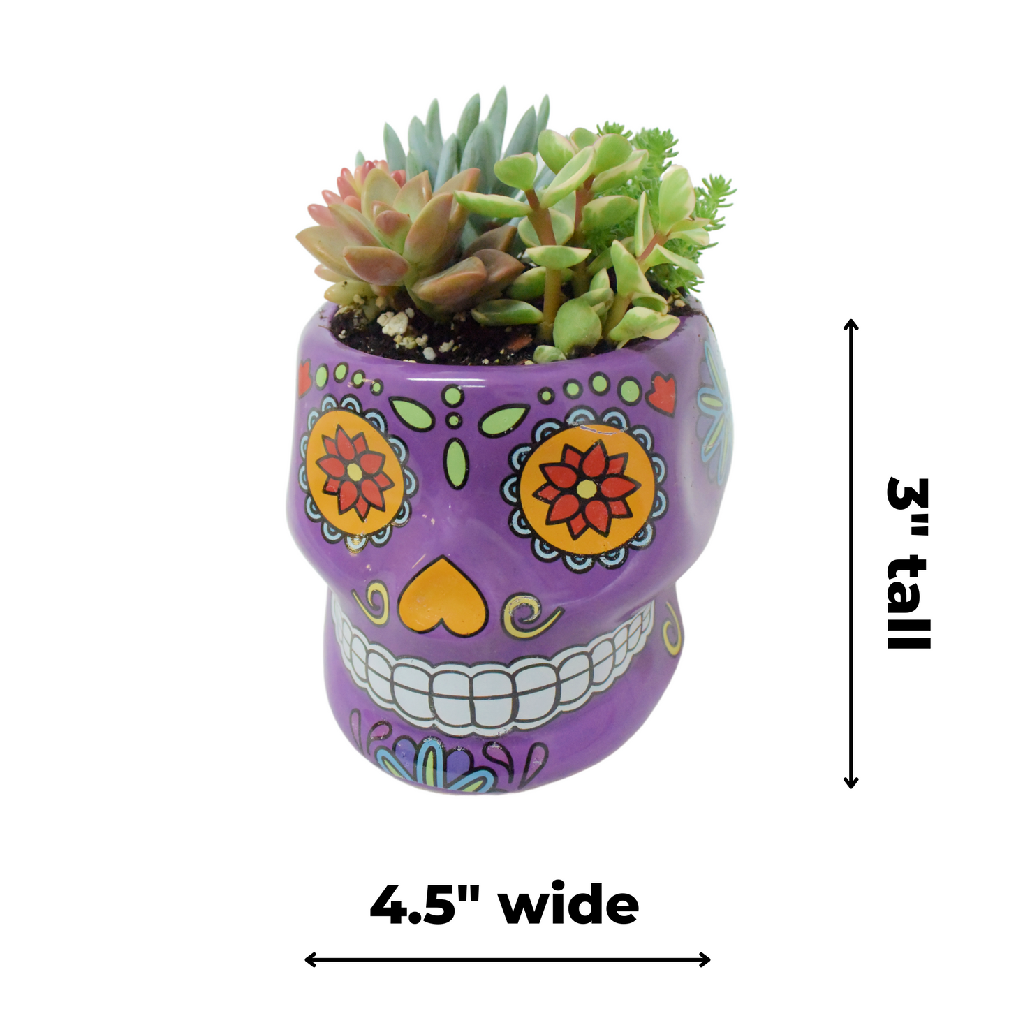 Skull Planters
