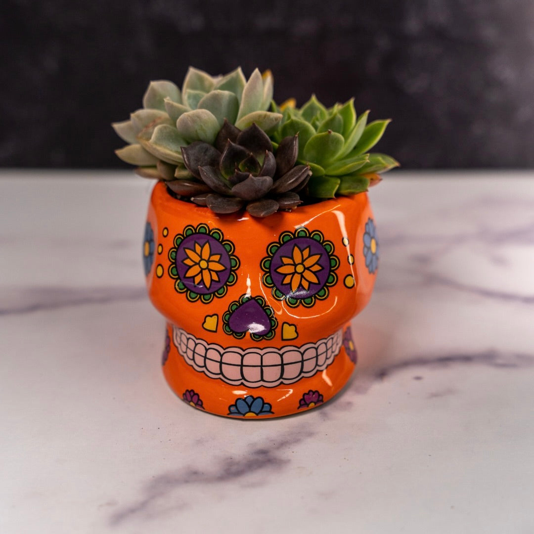 Skull Planters