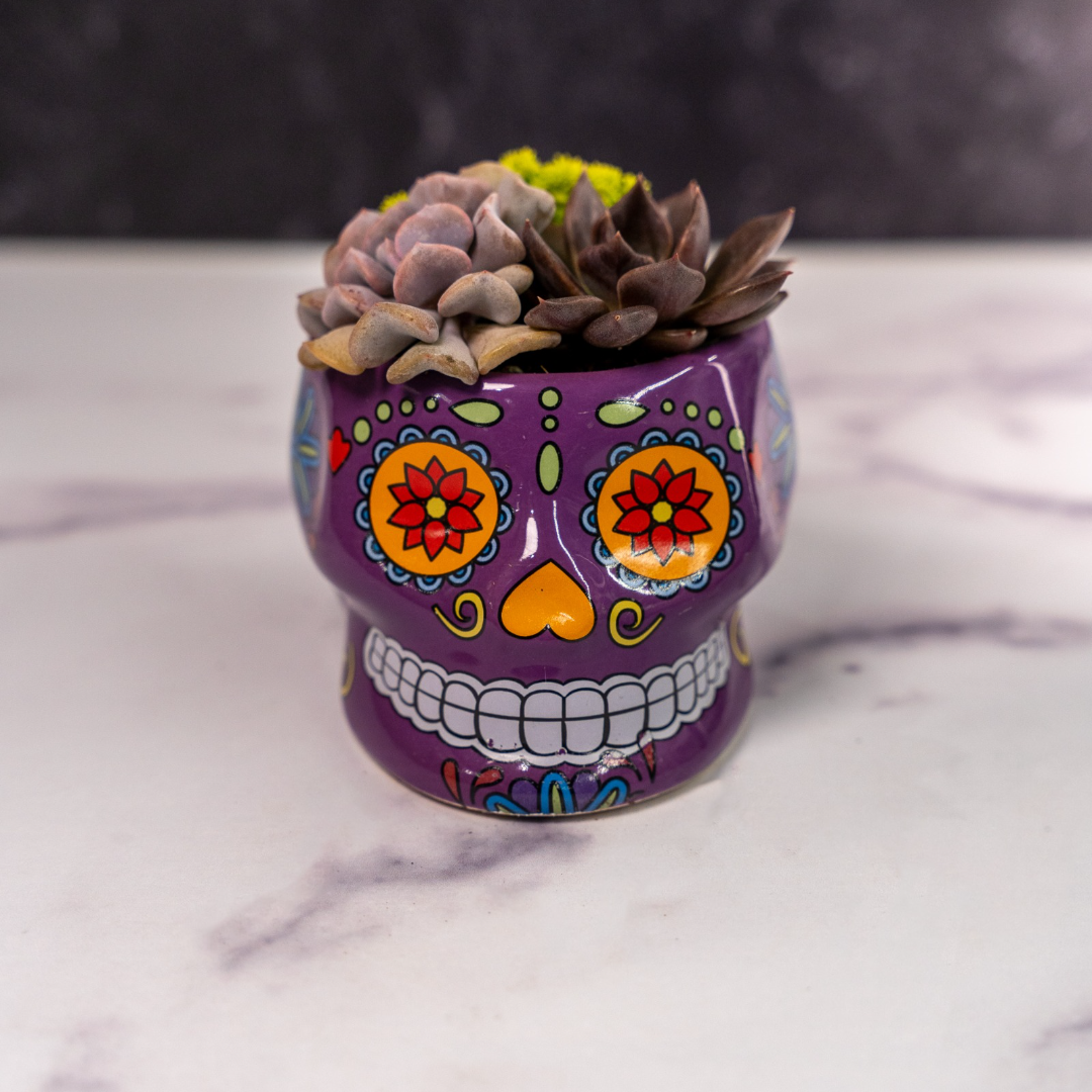 Skull Planters