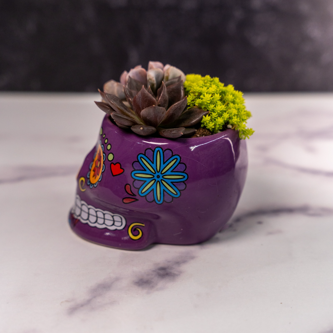 Skull Planters