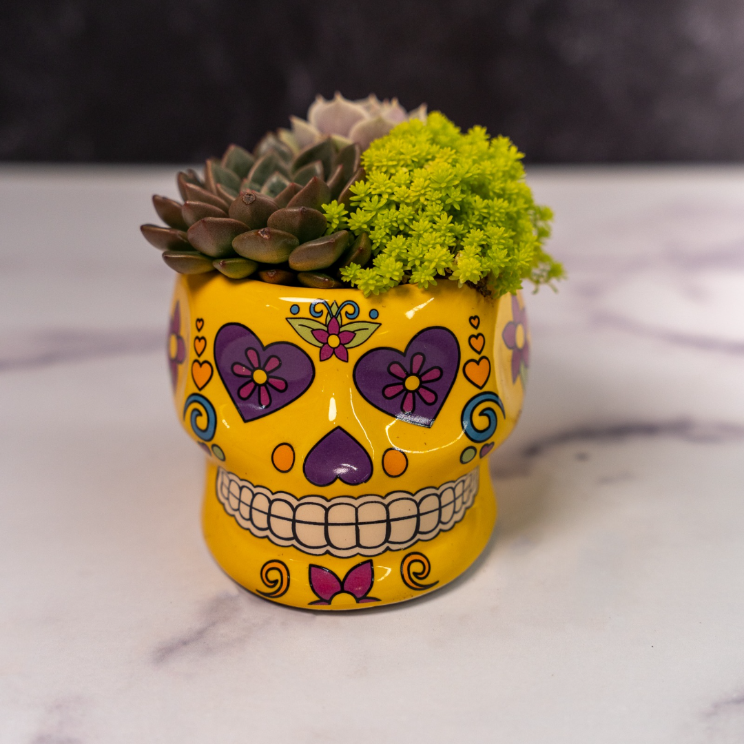 Skull Planters
