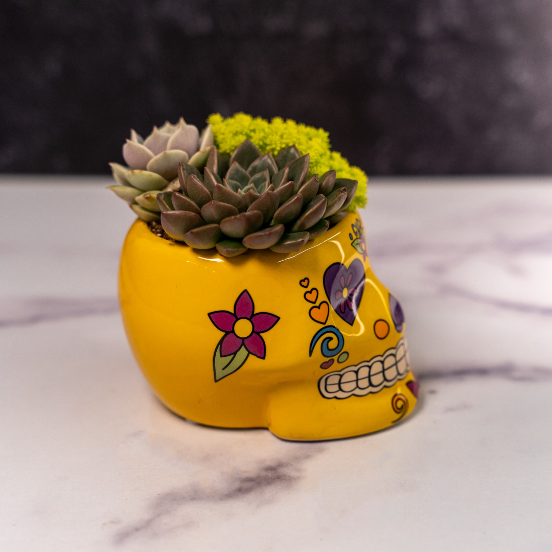 Skull Planters