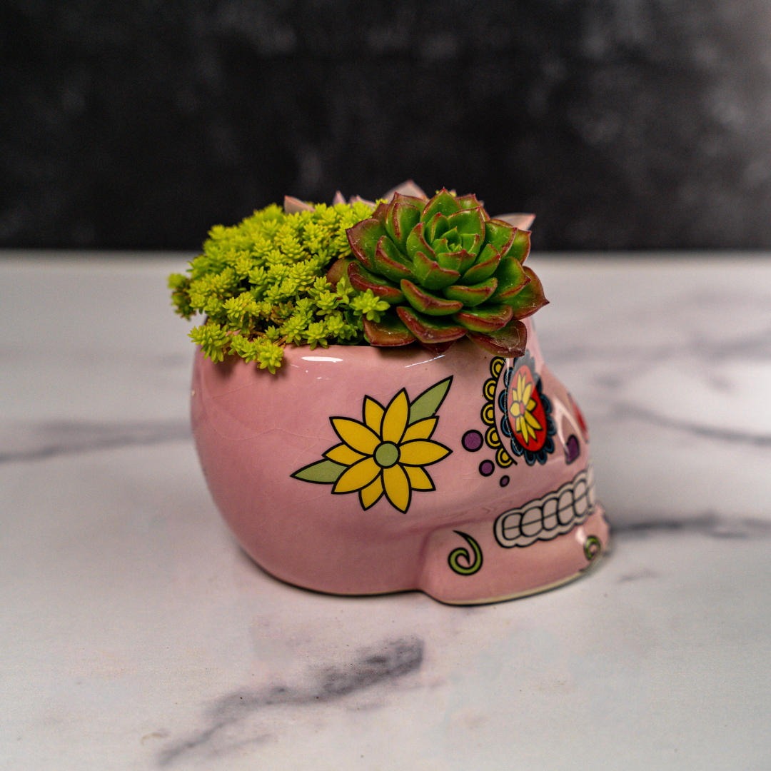 Skull Planters