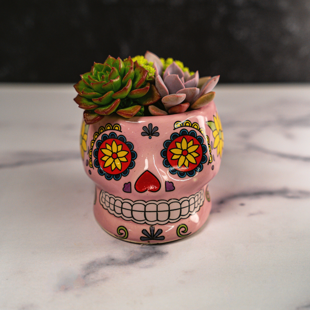 Skull Planters